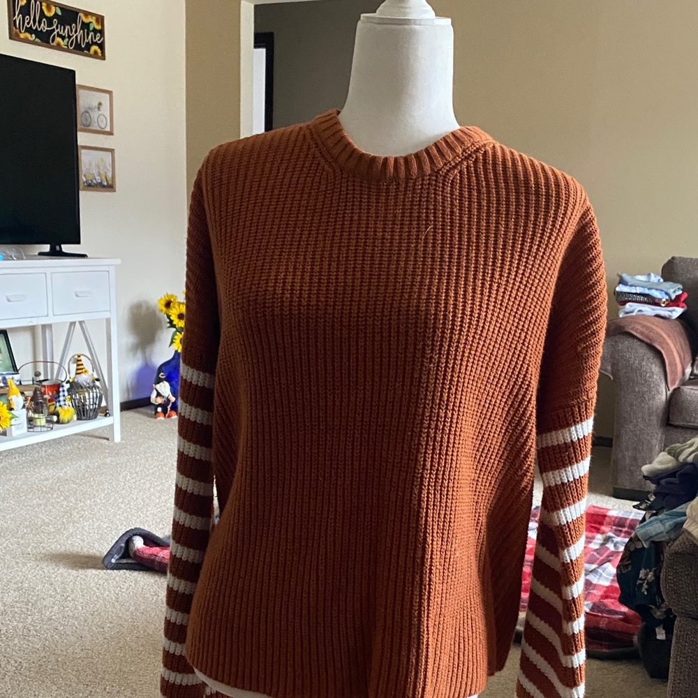 Pink Lily Rust Sweater with Striped Sleeves